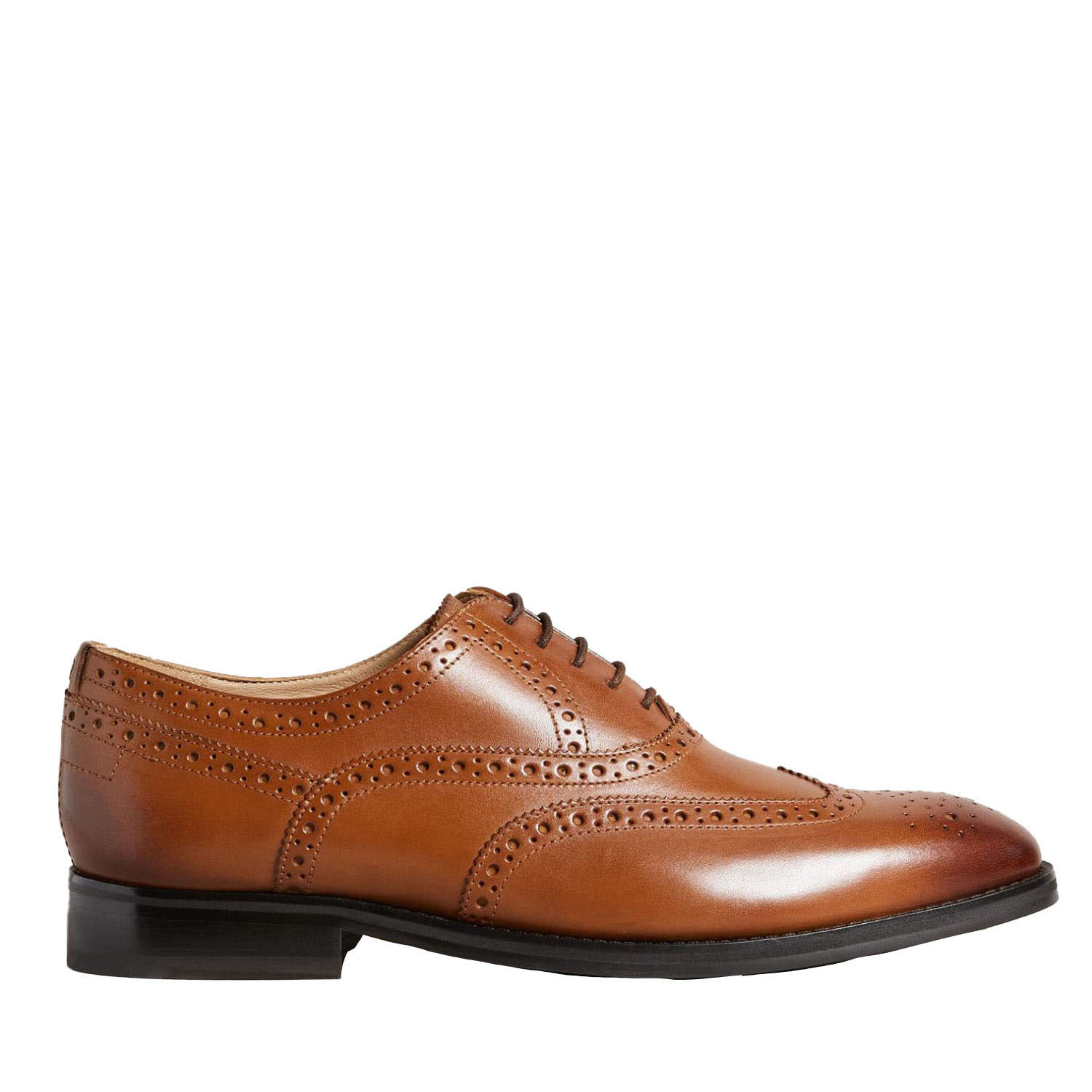 Ted Baker Amaiss Formal Leather Brogue Shoe